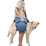 Coodeo Imbracatura per il trasporto del cane, zaino di emergenza per gambe di animali domestici e riabilitazione Imbracatura per il sollevamento delle unghie per il taglio delle unghie (2XL, blu)