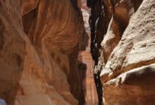 Canyon Petra